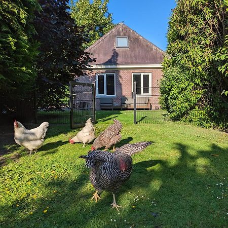 Boutique B&B Villa Van Voss Etten-Leur Esterno foto