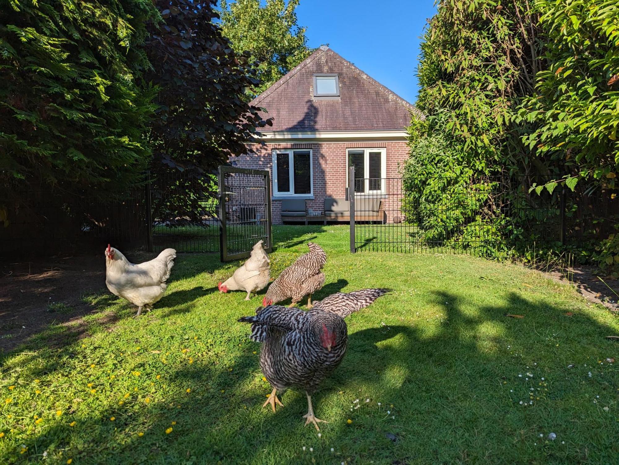 Boutique B&B Villa Van Voss Etten-Leur Esterno foto